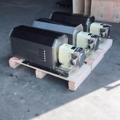 Stainless steel 304 food grade honey transfer pump